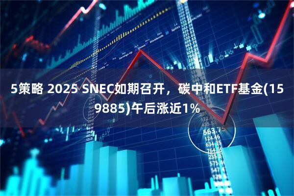 5策略 2025 SNEC如期召开，碳中和ETF基金(159885)午后涨近1%